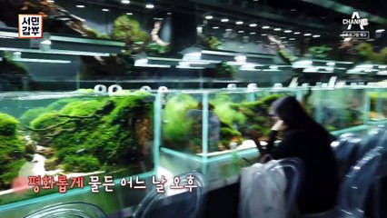 [예고] 연 매출 100억 갑부의 피 땀 눈물...로 만든 물멍 맛집 수족관 카페!!