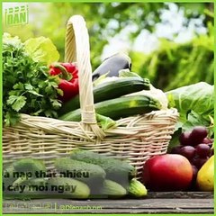 Mỹ Nữ Việt Thoát "Chân Cột Đình: Khả Ngân, Văn Mai Hương xuất sắc | Điện Ảnh Net