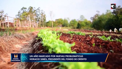 Un año marcado por nuevas problemáticas
