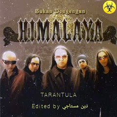 HIMALAYA-TARANTULA