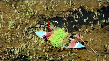 ...ف خدمات البث على سبيل المثال تتكبد خسائر...