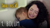 Yaralı Kuşlar Bölüm 1 | Wounded Birds Episode 1