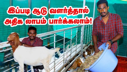 "இப்படி ஆடு வளர்த்தால் அதிக லாபம் ஈட்டலாம்!"  -வழிகாட்டும் இளைஞர்