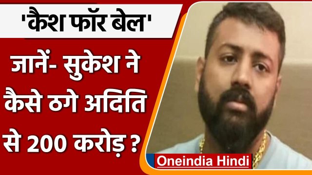 Sukesh Chandrashekhar case: जानें- सुकेश ने कैसे अरबपति की पत्नी से ठगे 200 करोड़? | वनइंडिया हिंदी