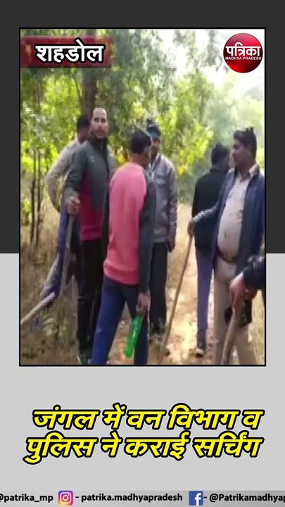 शहडोल : अचानक गायब हुआ युवक, बाघ और लोन की कहानी में उलझी पुलिस