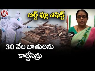 New Bird Flu Cases Reported in Kerala's Kottayam, 30 Thousand Ducks Culled | V6 News