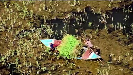 ...ان الاحلام هي مواضيع بحث متمردة جدا بمسا...