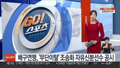 배구연맹, '무단이탈' 조송화 자유신분선수 공시