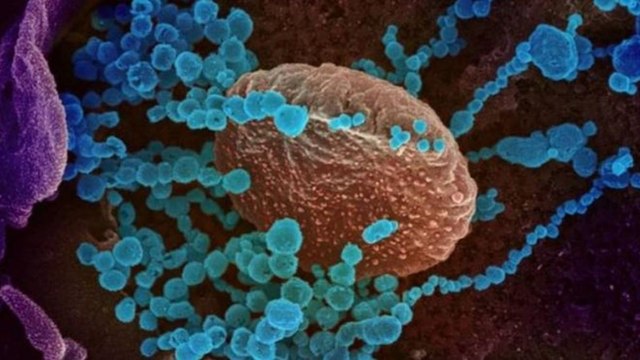 Can Omicron trigger a third Covid wave in India?