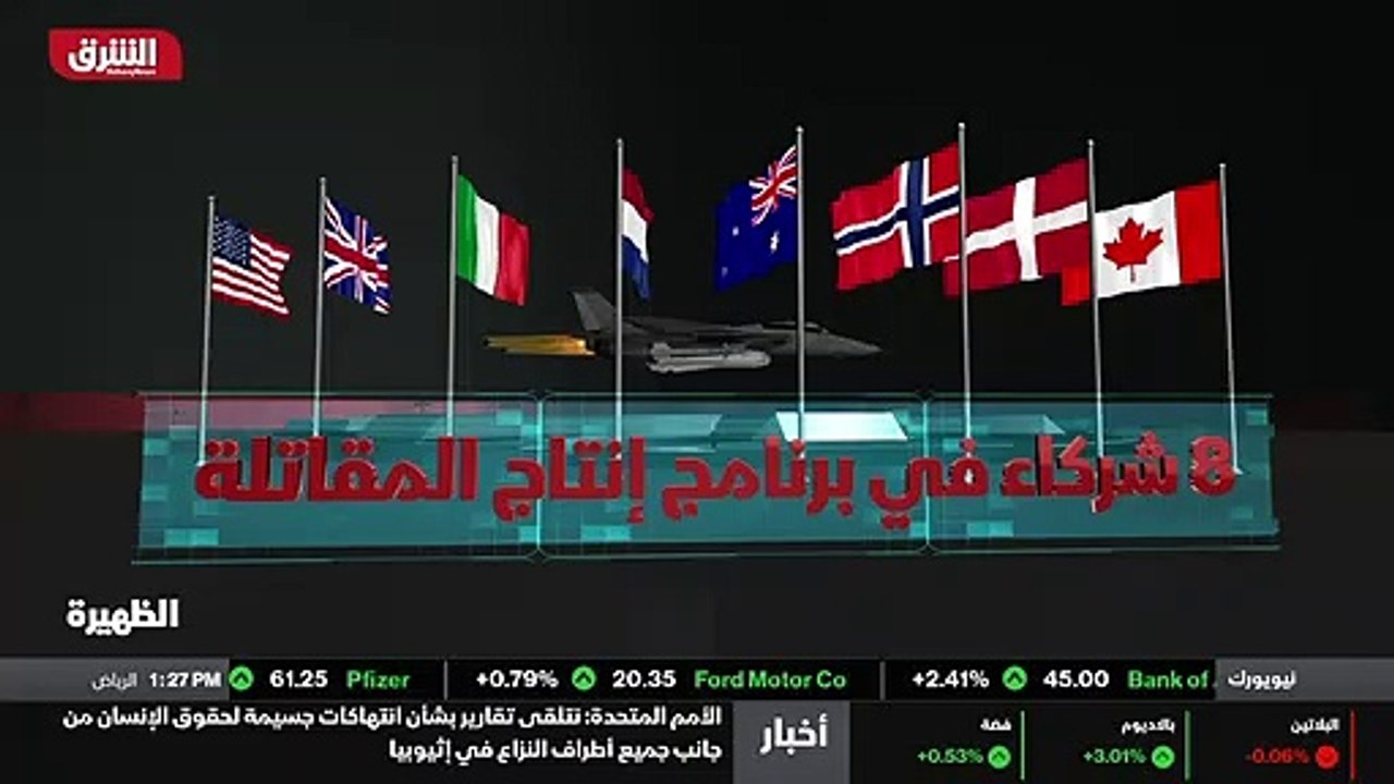 ...ثمانية شركاء دوليون أساسيون في البرنامج ...