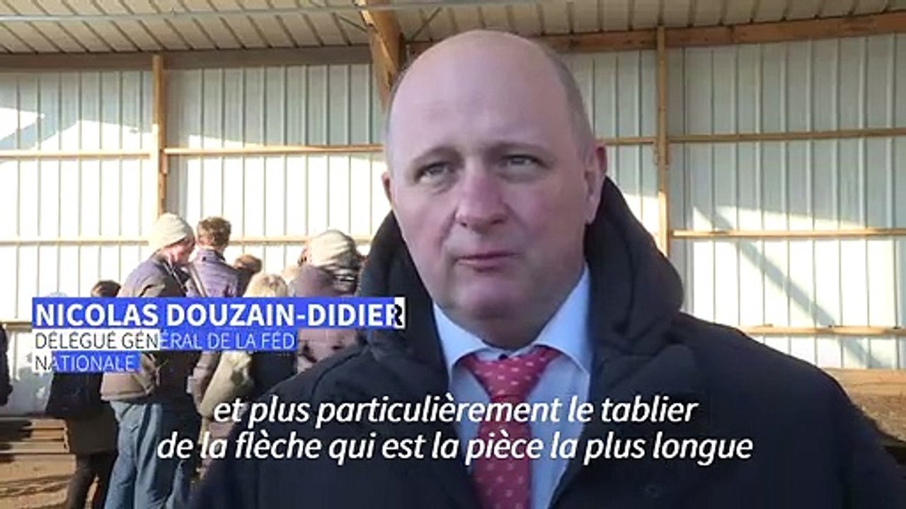 En Mayenne, sciage d'un chêne destiné à rebâtir la flèche de Notre-Dame