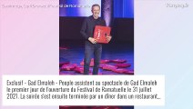 Gad Elmaleh, les conséquences de l'affaire du plagiat : 