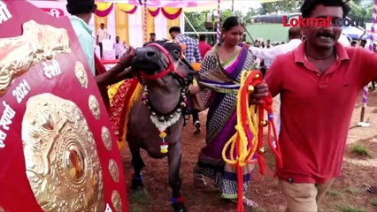 ह्या 'फॅशन शो'चा नाद करायचा न्हाय!