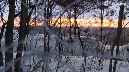 Нелегалы потянулись к Латвии