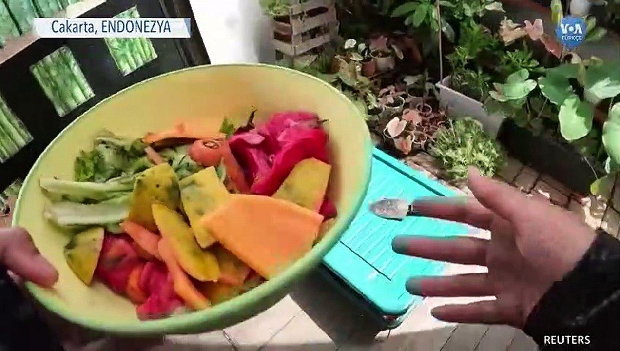 Yemek Artıklarını Organik Gübreye Dönüştüren Kurtçuklar