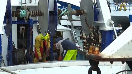 Pêche : Paris va demander à la Commission européenne d'engager un contentieux contre Londres