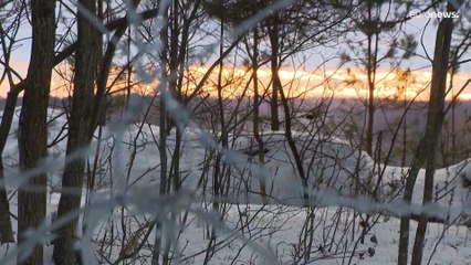 Mehr illegale Übertrittsversuche aus Belarus - Wird Lettland das neue Polen?