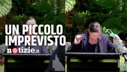 Australia, ragno peloso si arrampica sui vestiti della ministra della salute: conferenza interrotta
