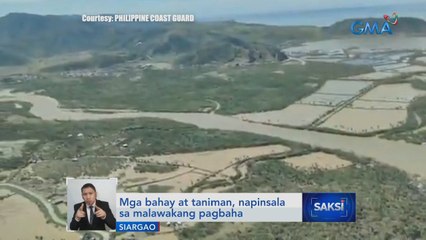 Mga bahay at taniman, napinsala sa malawakang pagbaha | Saksi