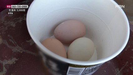 어려운 형편에 닭을 키울 수밖에 없는 이유