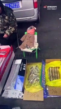 Le responsable du marché au poisson est là