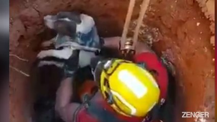 Hero Firefighter Plucks Dog Stuck Down 33-Foot Hole For Three Days.mp4