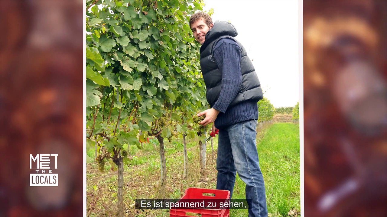 Die neue bulgarische Winzergeneration