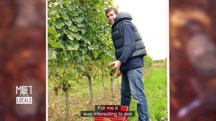 Giving ancient varieties a new twist: meet the next generation of Bulgarian winemakers
