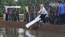 TNI AD Tebarkan Bibit Ikan di Desa Sungai Landas Untuk Ketahanan Pangan Nasional