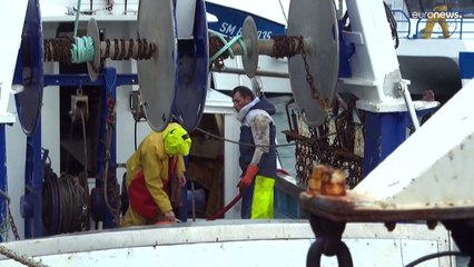 Dall'Eliseo pieno sostegno ai pescatori francesi. La sfida tra Francia e Gran Bretagna sulla pesca