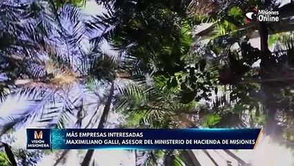 Más empresas interesadas