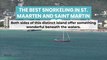 The Best Snorkeling in St  Maarten and Saint Martin