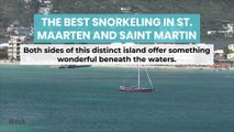 The Best Snorkeling in St  Maarten and Saint Martin