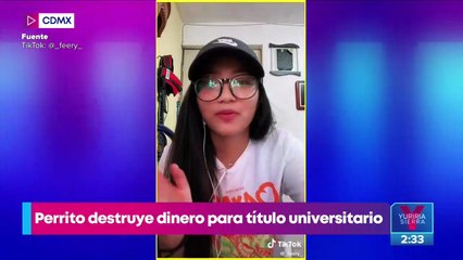 ¡Perrito destroza el dinero de su dueña!