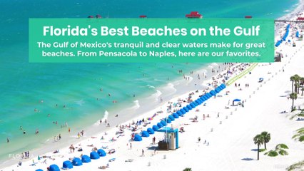 Florida's Best Beaches on the Gulf