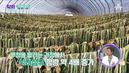 식이섬유는 변비·대장암 예방한다? 제철 최고 식재료! 식이섬유 풍부한 겨울 별미 '시래기'