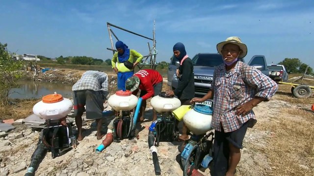 Thai Farmers spraying rice seeds using machine in Thailand