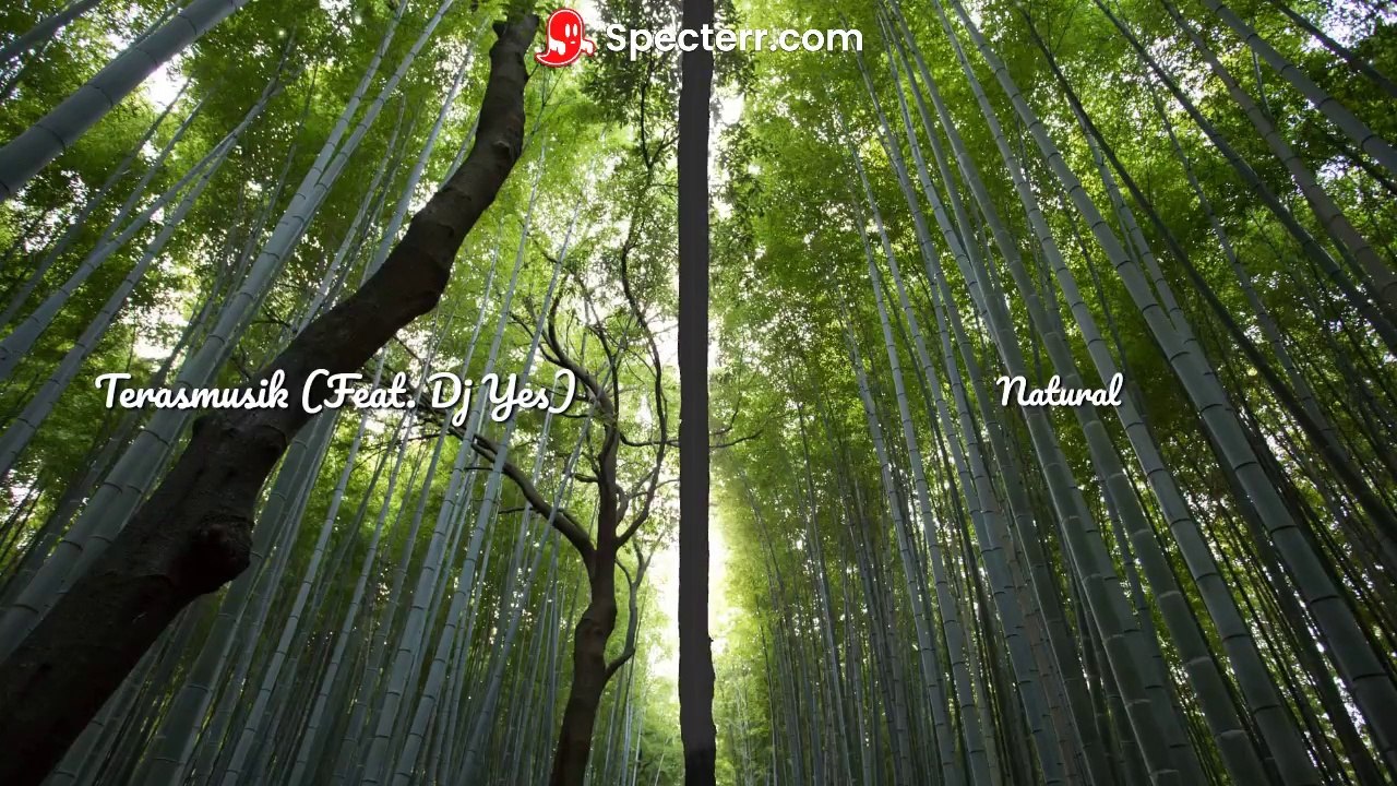 Natural (Instrumental Music for Relax, Study, Meditation)