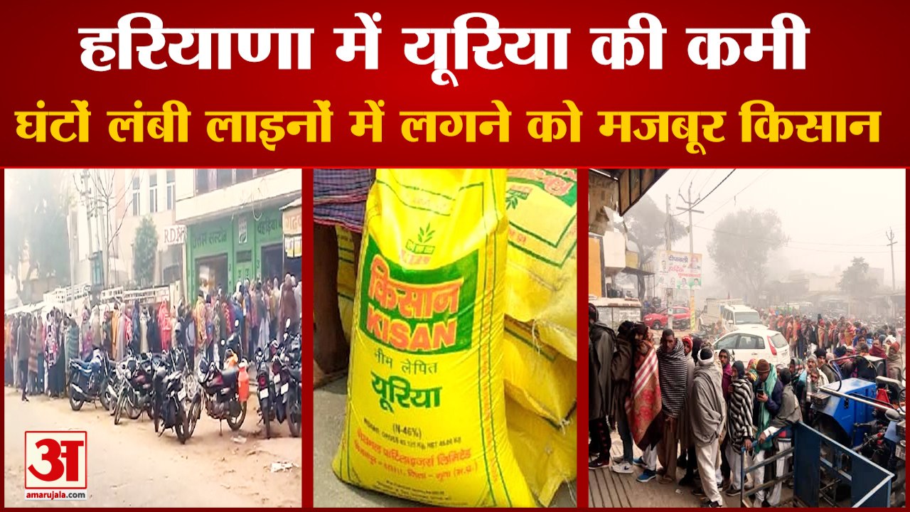 Urea Fertilizer Shortage In Bhiwani|यूरिया की कमी,घंटों लंबी लाइनों में लगने को मजबूर किसान