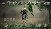 Turbat e Shabir par | Afzal Hussain Baltistani | Labaik Labaik