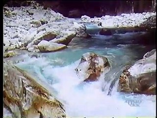 VALLET E BJESHKEVE | Kinematografia, Arti Skenik - Sporti