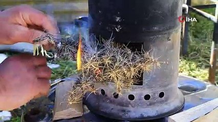 Bir oturuşta 100 bardak çay içiyor