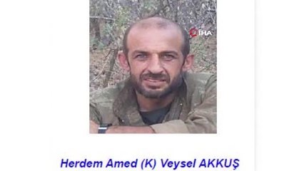 Kırmızı bültenle aranan terörist Siirt'te etkisiz hale getirildi