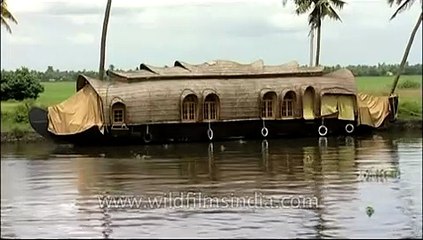 Exquisite Houseboat from Kerala, with palm leaves on roof