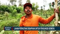 Tanggap Darurat Bencana Gunung Semeru Diperpanjang 7 Hari, Apa yang Akan Dilakukan Pemerintah?