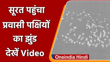Gujarat: सर्दियों के साथ Surat पहुंचे Migratory Birds | #Shorts | वनइंडिया हिंदी