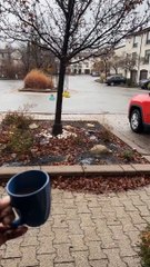 Good Morning My Neighbours!