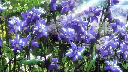 Attack on Titan Saison 1 - Trailer (EN)