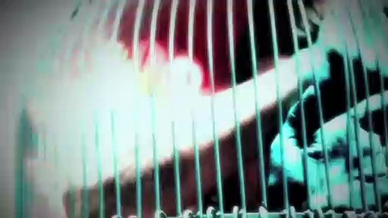 American Horror Story Saison 4 - AHS Freakshow - Carousel  (EN)