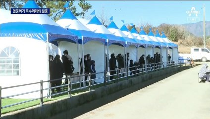 3000km 날아서 온 손님…겨울나기 나선 독수리 떼